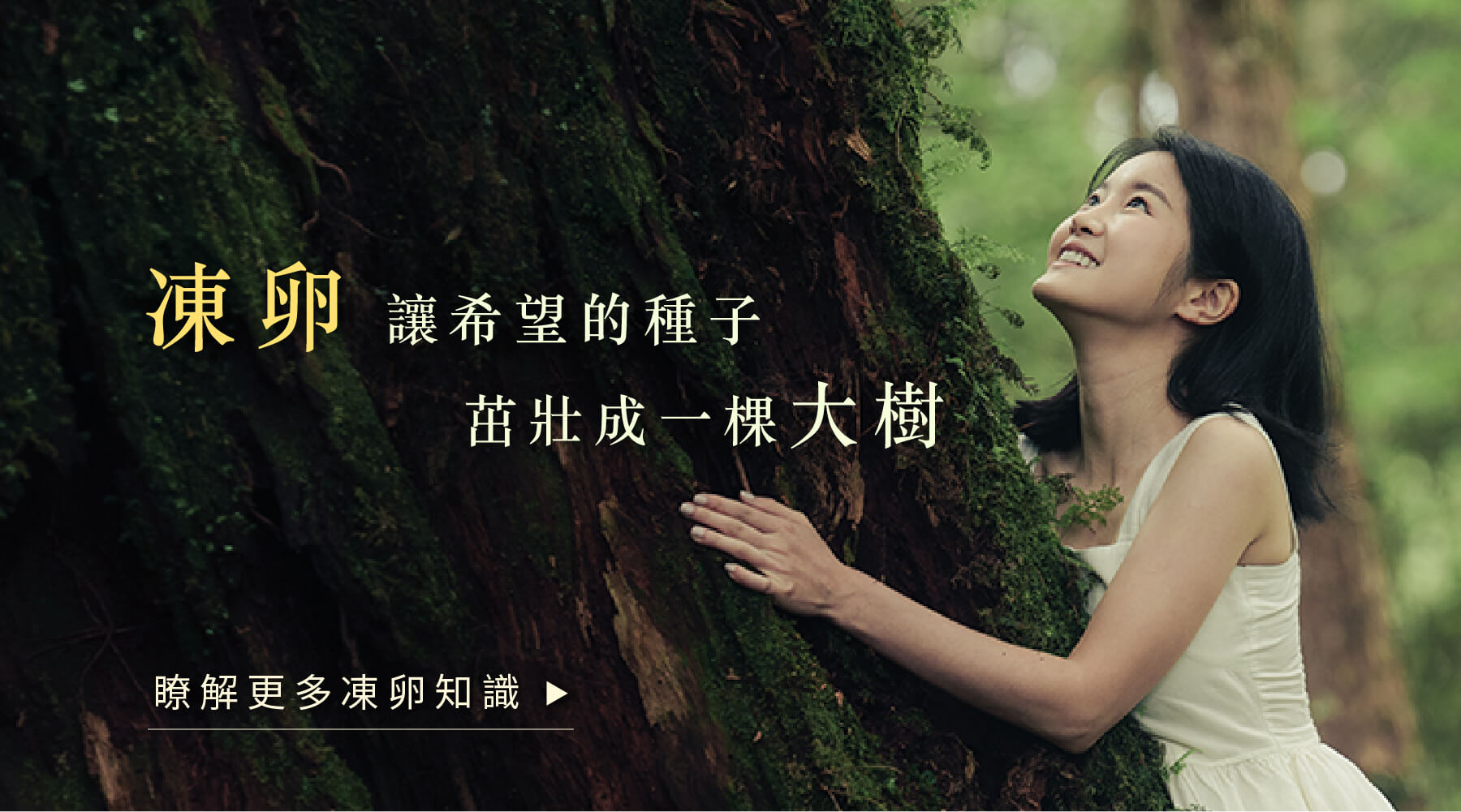 了解更多凍卵知識